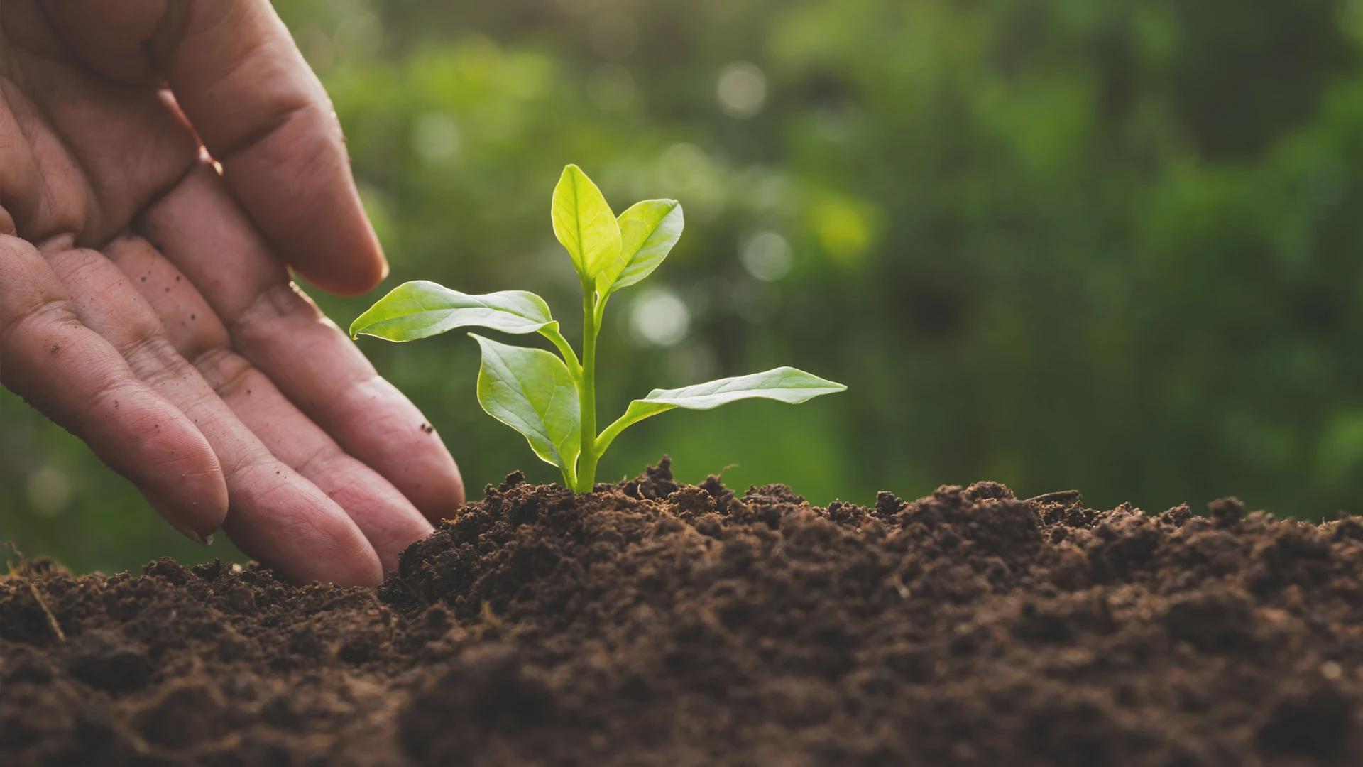 E-Waste Recycling Environmental Benefits