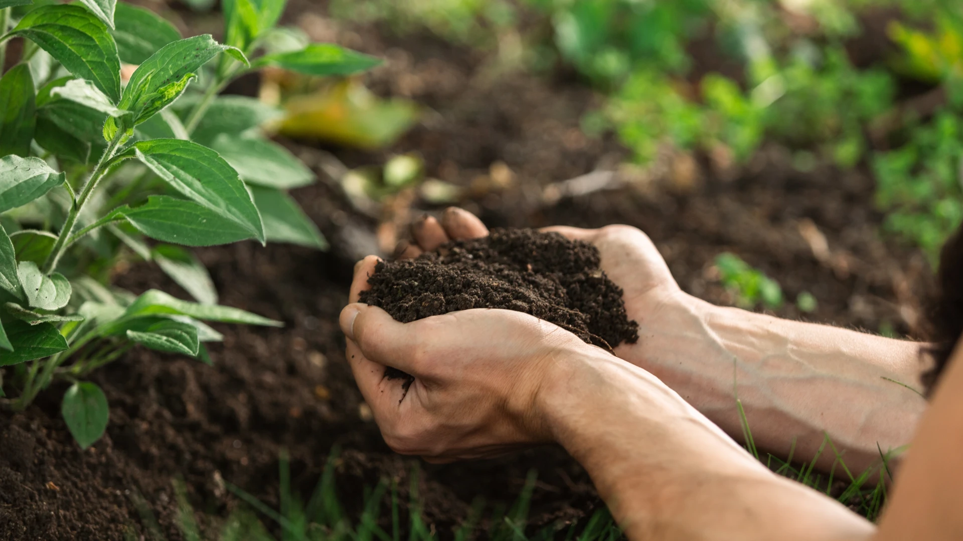 How Recycling E-Waste Reduces Pollution and Protects Public Health